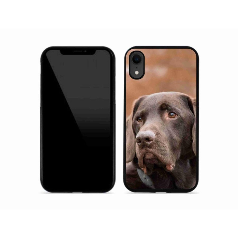 Gél tok mmCase iPhone XR készülékhez - barna labrador