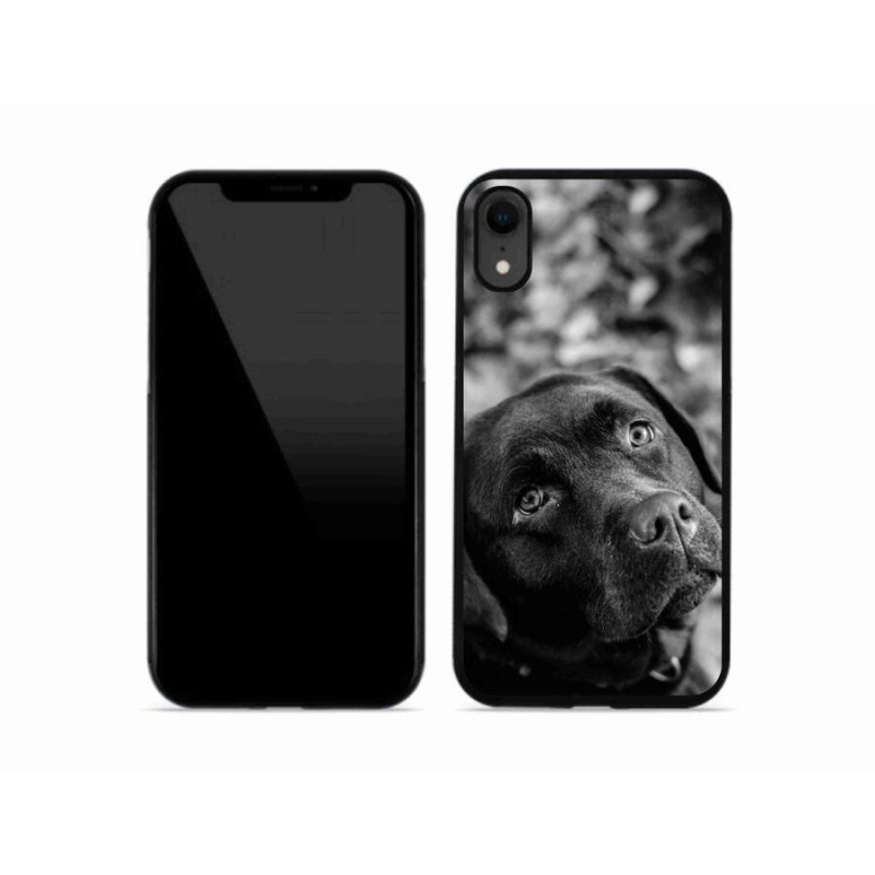 Gél tok mmCase iPhone XR készülékhez - labrador