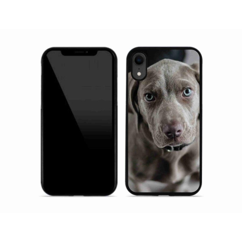 Gél tok mmCase iPhone XR készülékhez - výmarský ohař