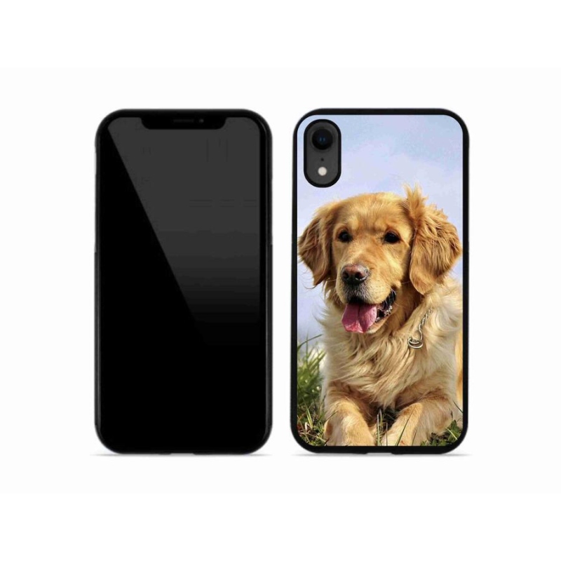 Gél tok mmCase iPhone XR készülékhez - arany retriever