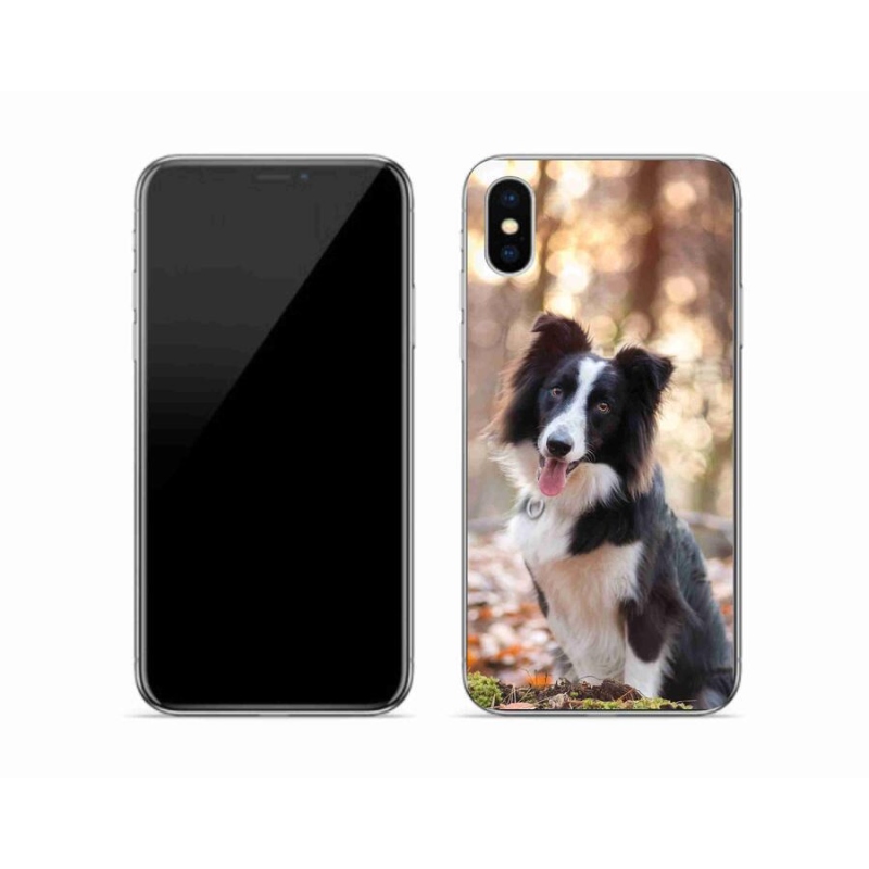 Gél tok mmCase iPhone XS készülékhez - border colie 1