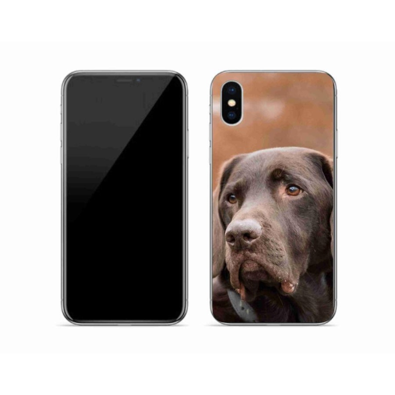 Gél tok mmCase iPhone XS készülékhez - barna labrador