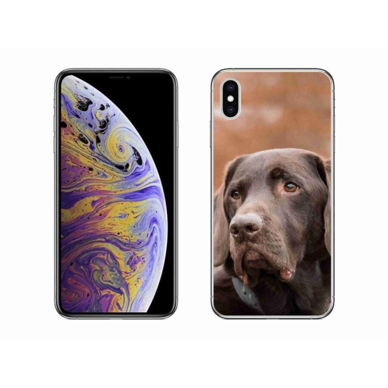 Gél tok mmCase iPhone XS Max készülékhez - barna labrador