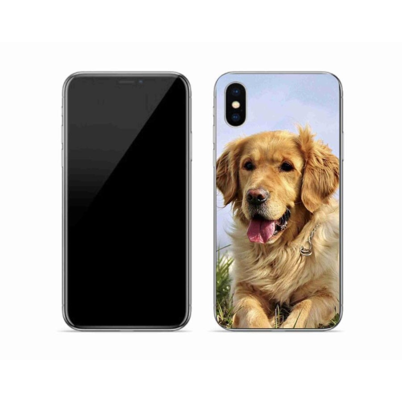 Gél tok mmCase iPhone XS készülékhez - arany retriever