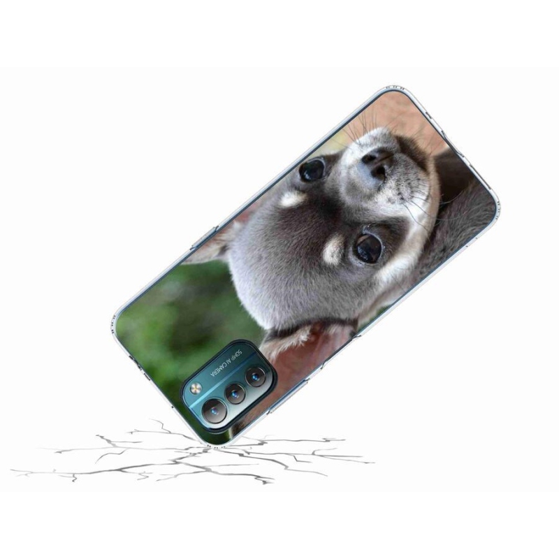 Gél tok mmCase mobiltelefonhoz Nokia G11/G21 - chihuahua