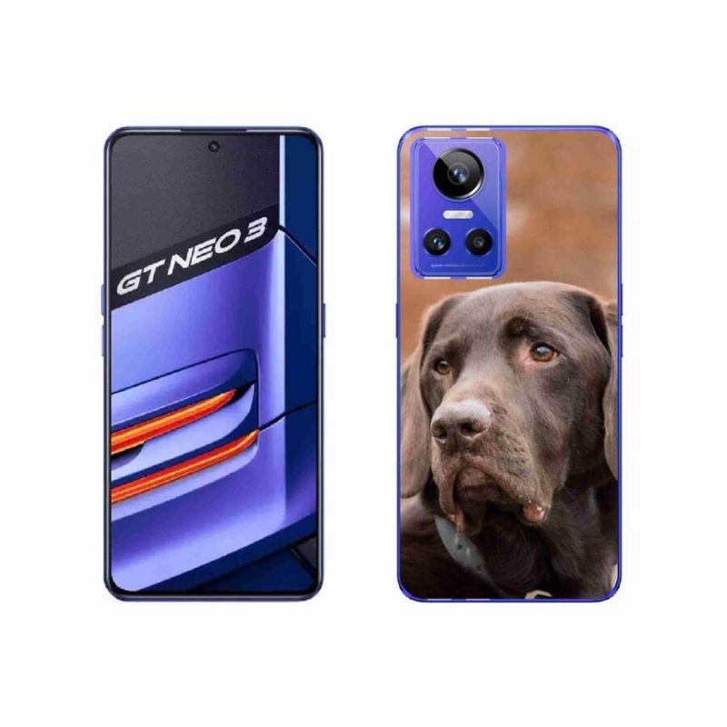 Gél tok mmCase a Realme GT Neo 3 készülékhez - barna labrador színben