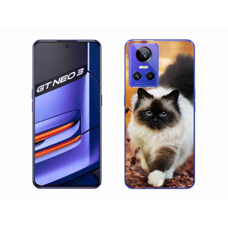 Gél tok mmCase a Realme GT Neo 3 készülékhez - macska