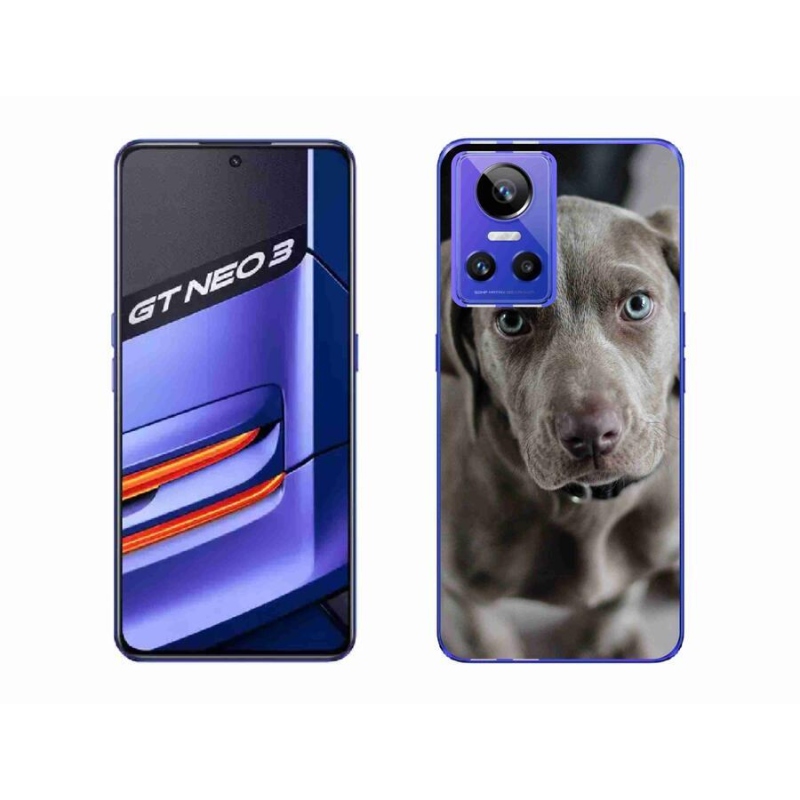 Gél tok mmCase mobil Realme GT Neo 3 - výmarský ohař