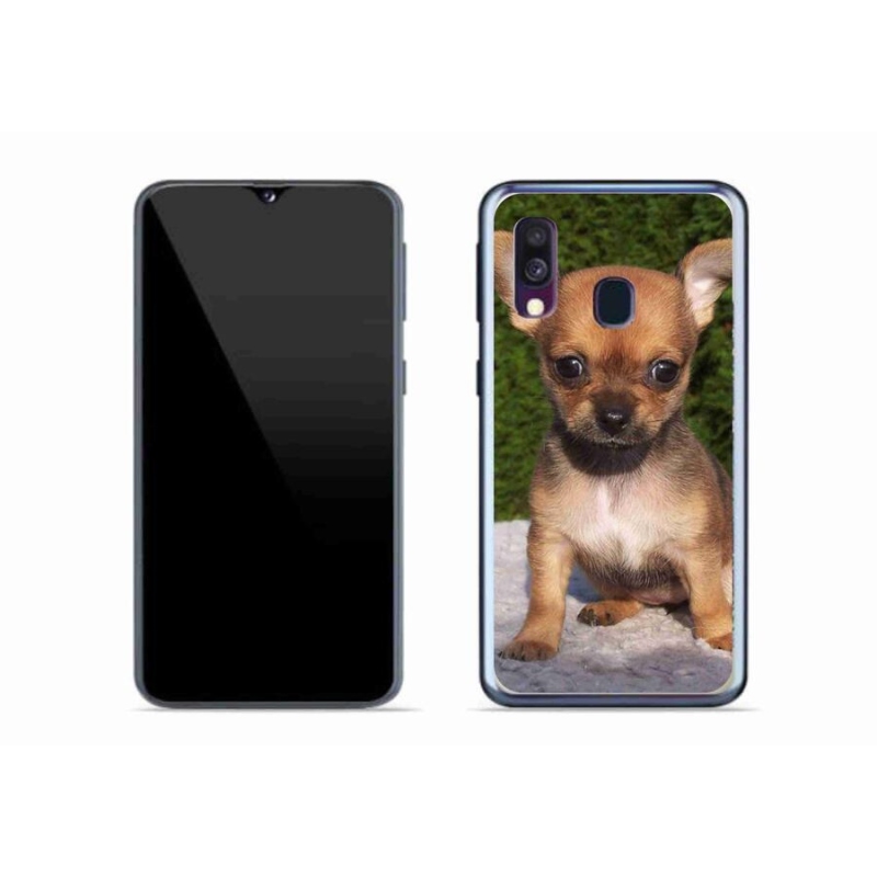 Gél tok mmCase mobil Samsung Galaxy A40 - chihuahua 3