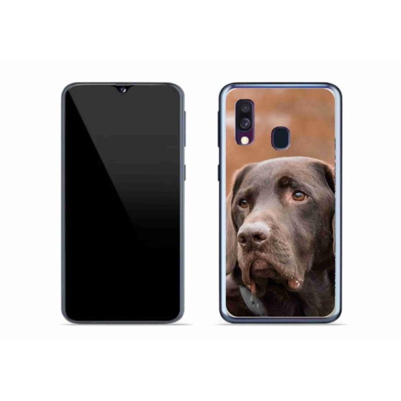 Gél tok mmCase Samsung Galaxy A40 készülékhez - barna labrador