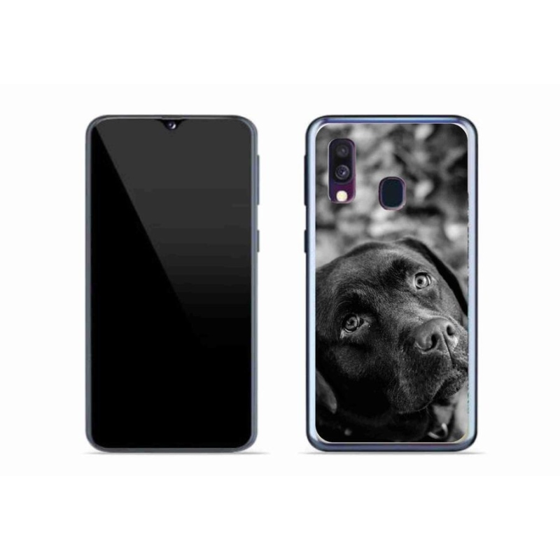 Gél tok mmCase Samsung Galaxy A40 készülékhez - labrador