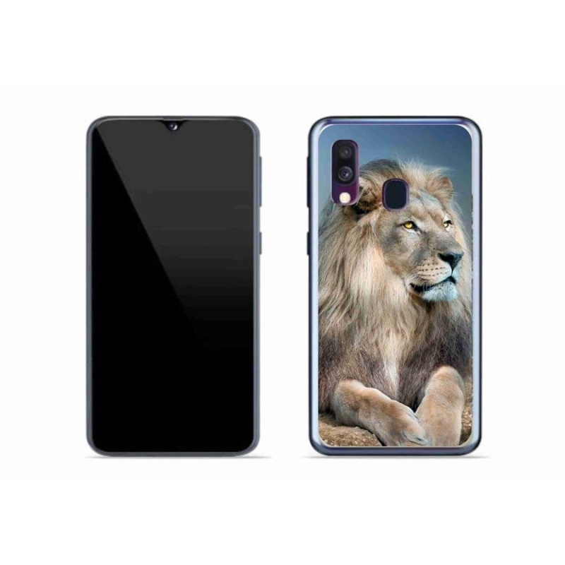 Gél tok mmCase a Samsung Galaxy A40 készülékhez - Lion 1