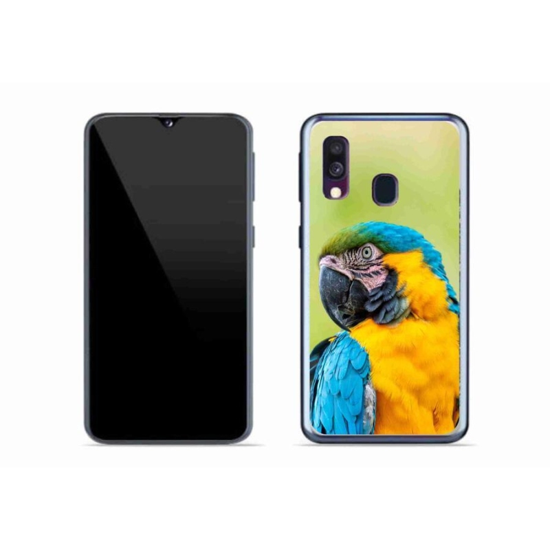 Gél tok mmCase Samsung Galaxy A40 készülékhez - papagáj ara 2