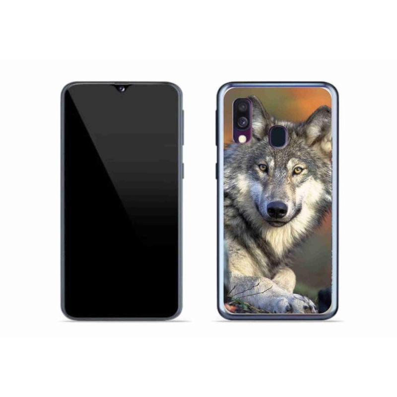 Gél tok mmCase a Samsung Galaxy A40 készülékhez - farkas