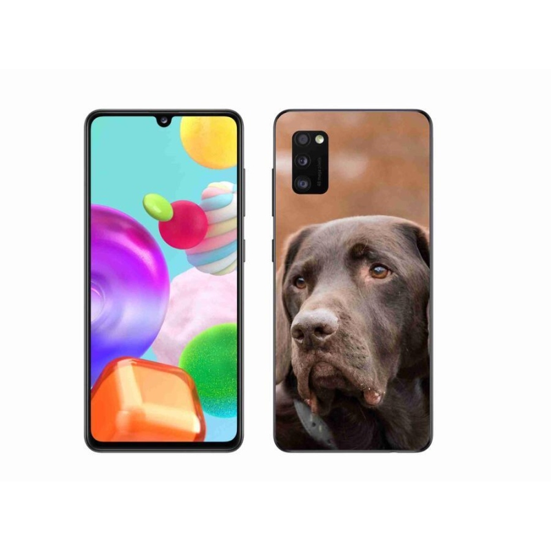 Gél tok mmCase Samsung Galaxy A41 készülékhez - barna labrador