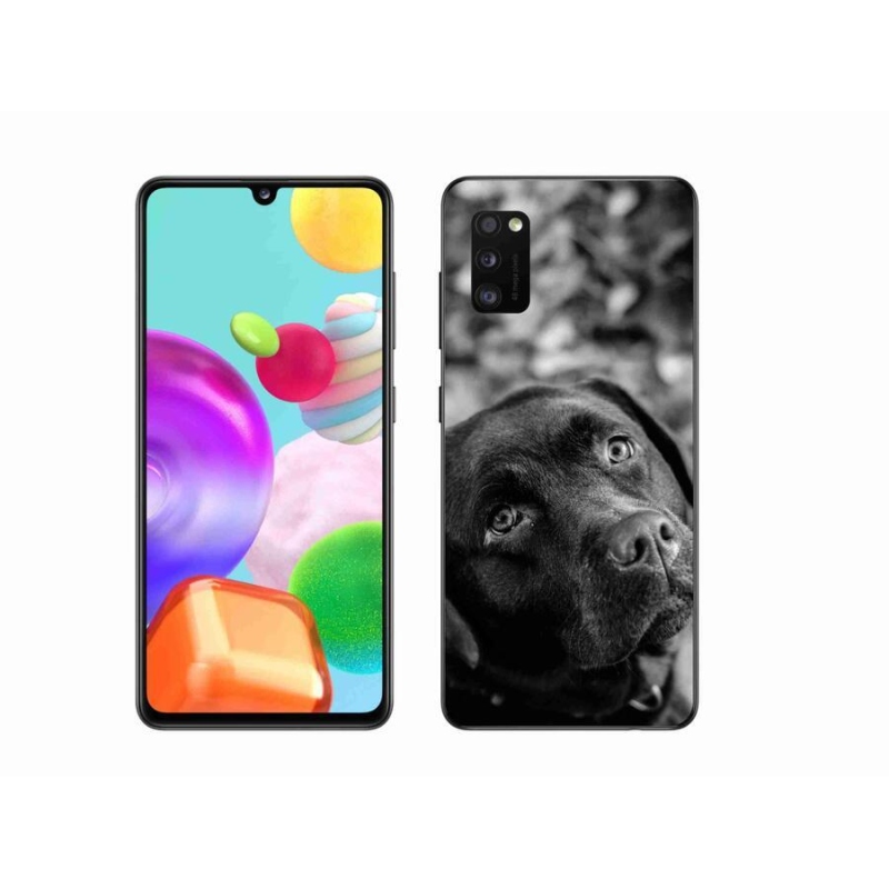 Gél tok mmCase mobiltelefonhoz Samsung Galaxy A41 - labrador