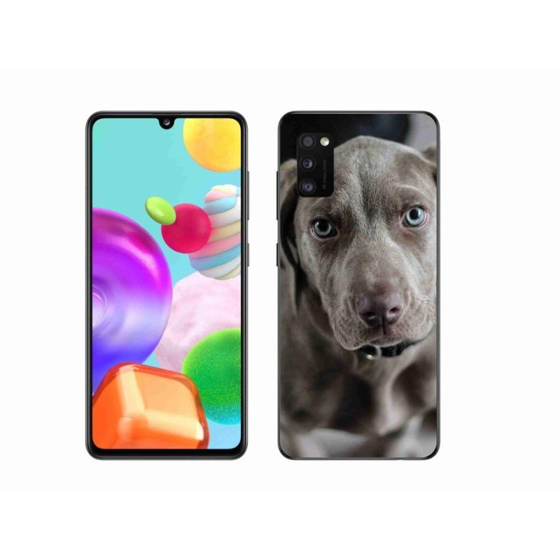 Gél tok mmCase mobil Samsung Galaxy A41 - výmarský ohař