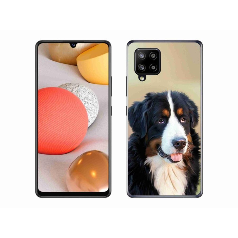Gél tok mmCase Samsung Galaxy A42 5G - Berni Hegyi Kutya számára