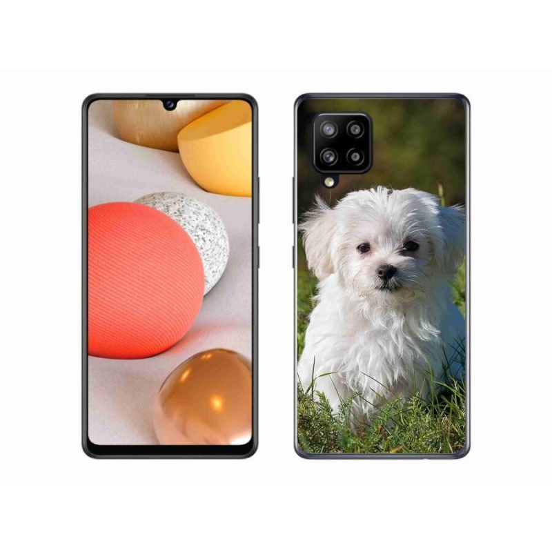 Gél tok mmCase a Samsung Galaxy A42 5G készülékhez - bichon