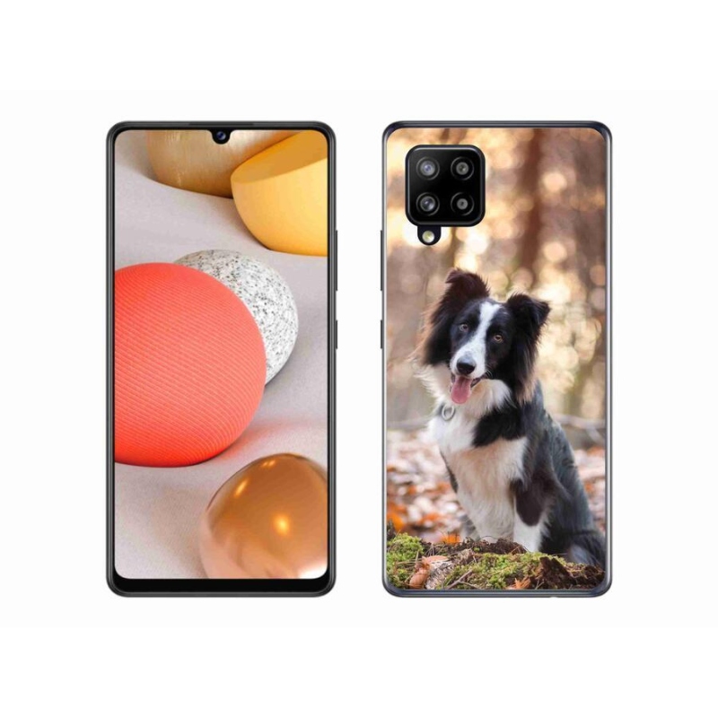 Gél tok mmCase Samsung Galaxy A42 5G - border colie 1