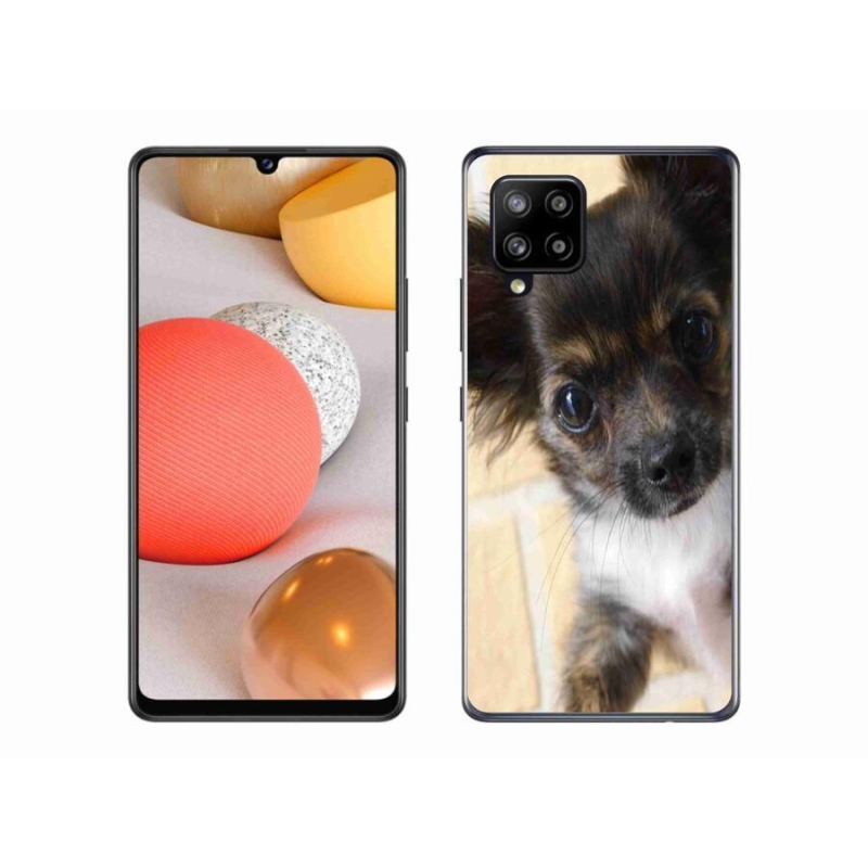 Gél tok mmCase mobil Samsung Galaxy A42 5G - chihuahua 2