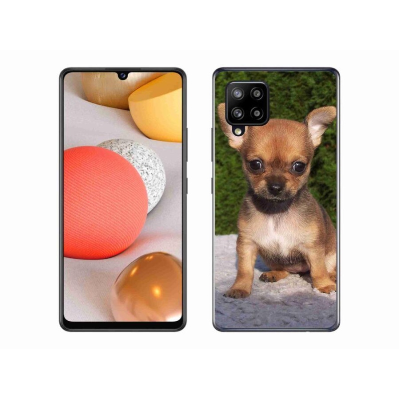 Gél tok mmCase mobil Samsung Galaxy A42 5G - chihuahua 3