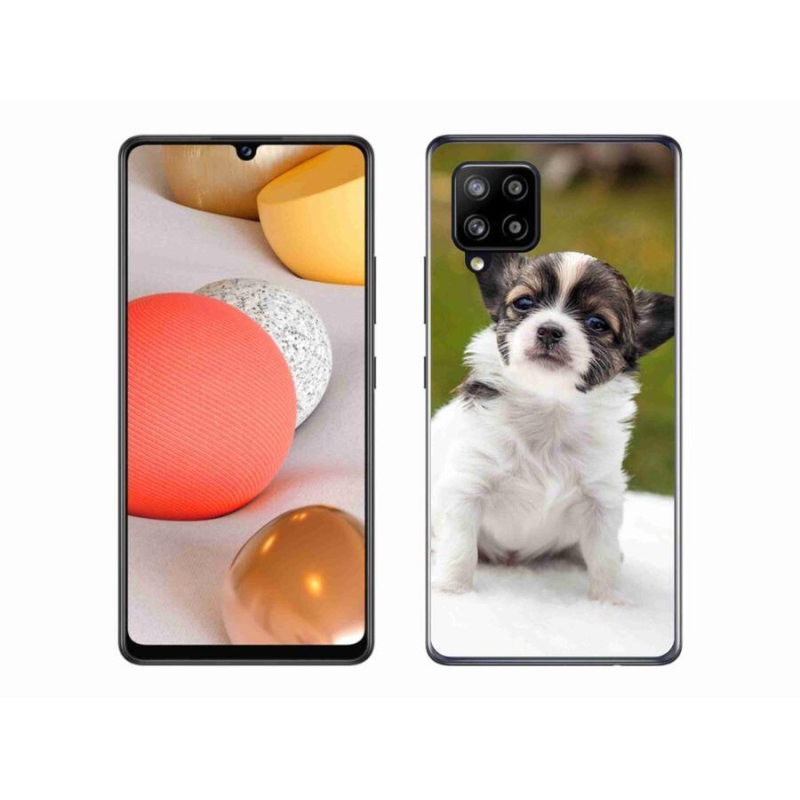 Gél tok mmCase mobil Samsung Galaxy A42 5G - chihuahua 4