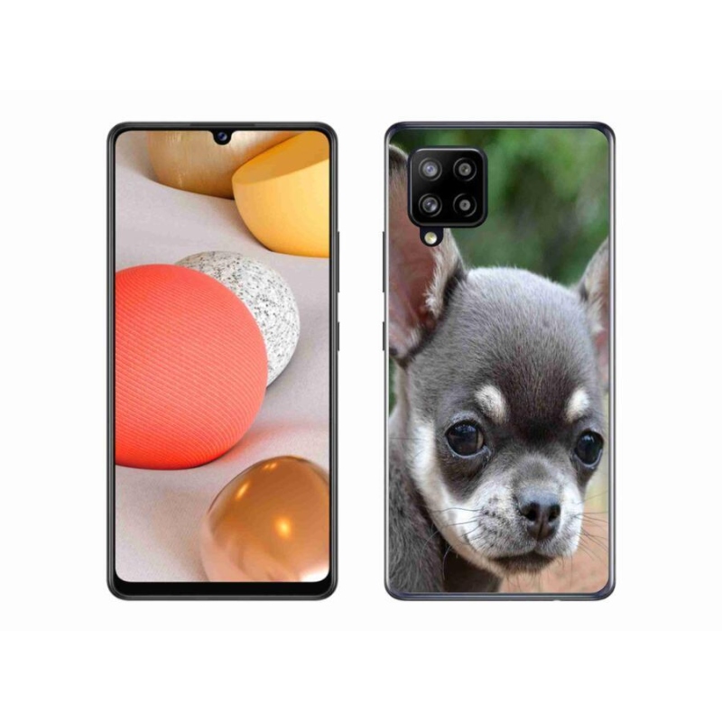 Gél tok mmCase Samsung Galaxy A42 5G - chihuahua - gél tok mmCase Samsung Galaxy A42 5G-hez