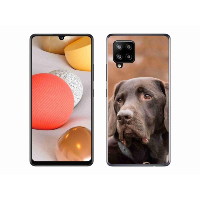 Gél tok mmCase a Samsung Galaxy A42 5G készülékhez - barna labrador