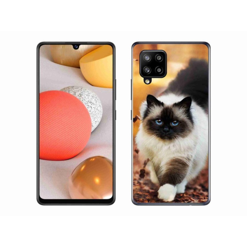 Gél tok mmCase Samsung Galaxy A42 5G - 1. kategória