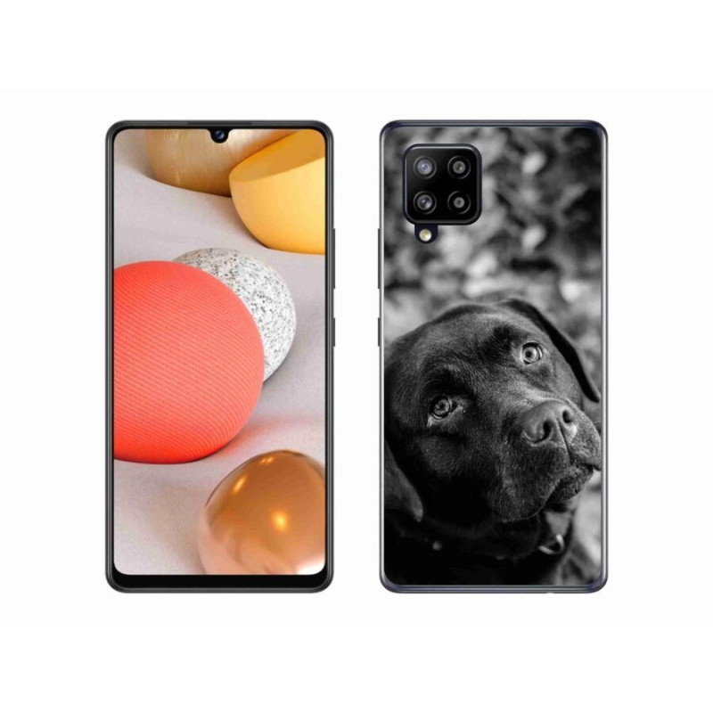 Gél tok mmCase a Samsung Galaxy A42 5G készülékhez - labrador színű