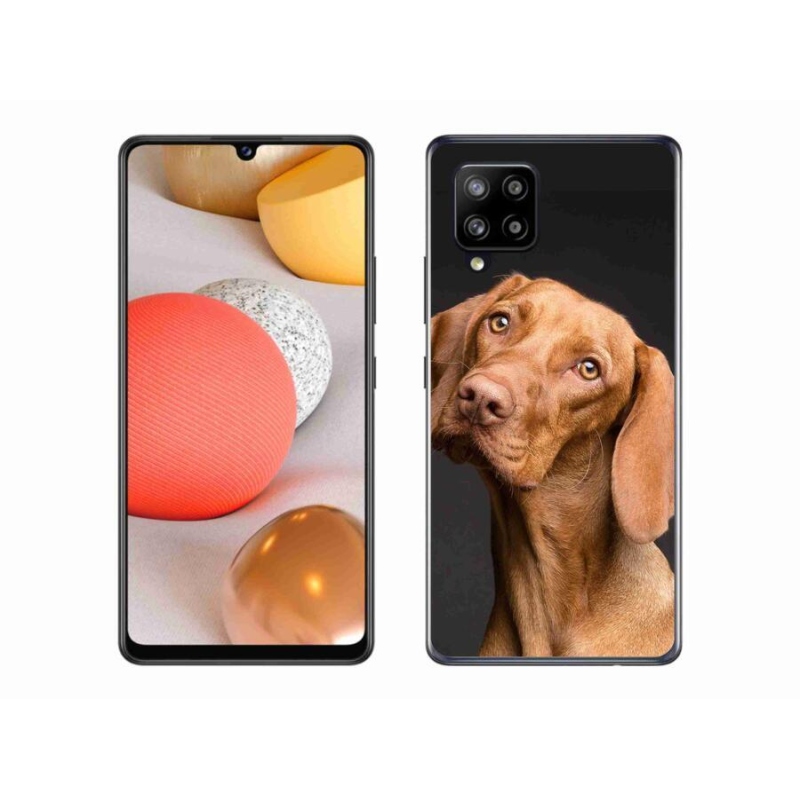 Gél tok mmCase Samsung Galaxy A42 5G - Hungarian Hound - Magyar Kutya
