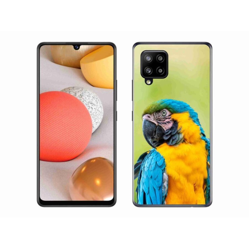 Gél tok mmCase Samsung Galaxy A42 5G - papagáj ara 2