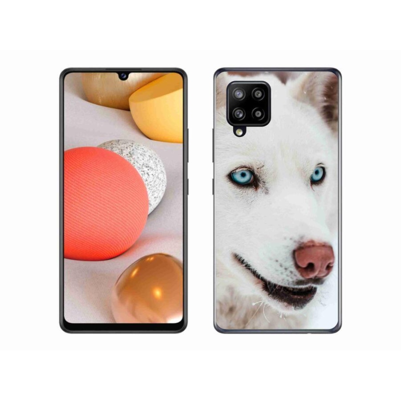 Gél tok mmCase a Samsung Galaxy A42 5G készülékhez - kutyaszemmel nézve
