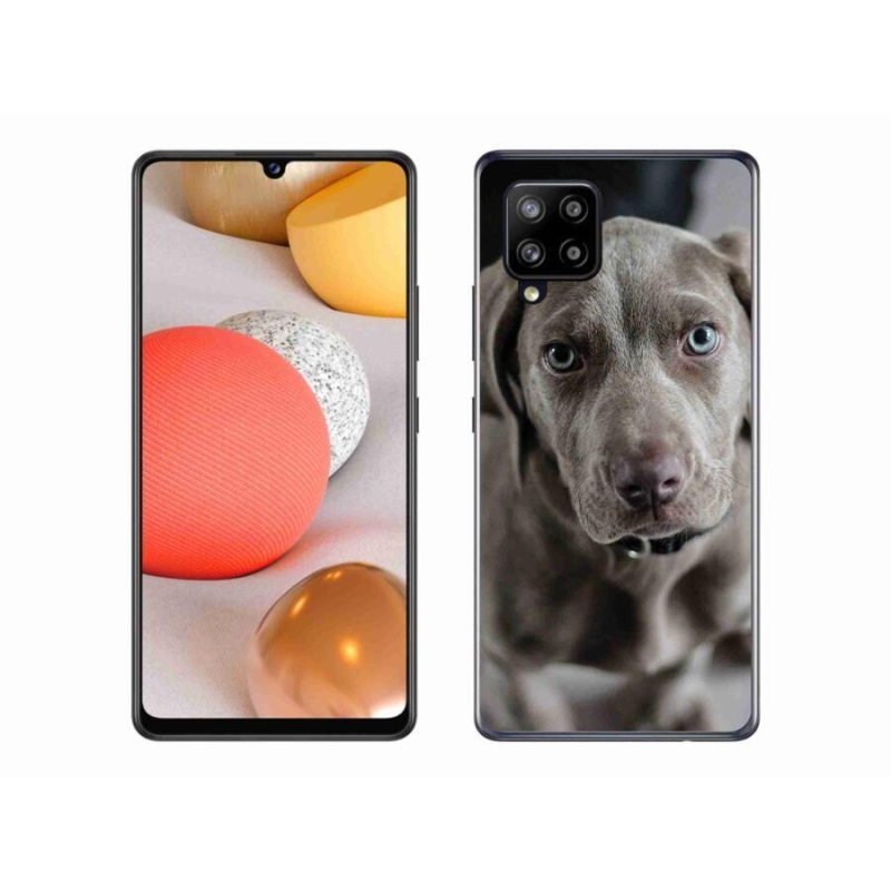 Gél tok mmCase a Samsung Galaxy A42 5G készülékhez - výmarský ohař