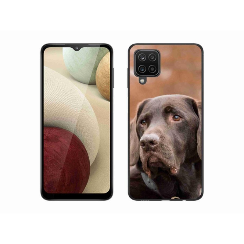 Gél tok mmCase Samsung Galaxy M12 készülékhez - barna labrador