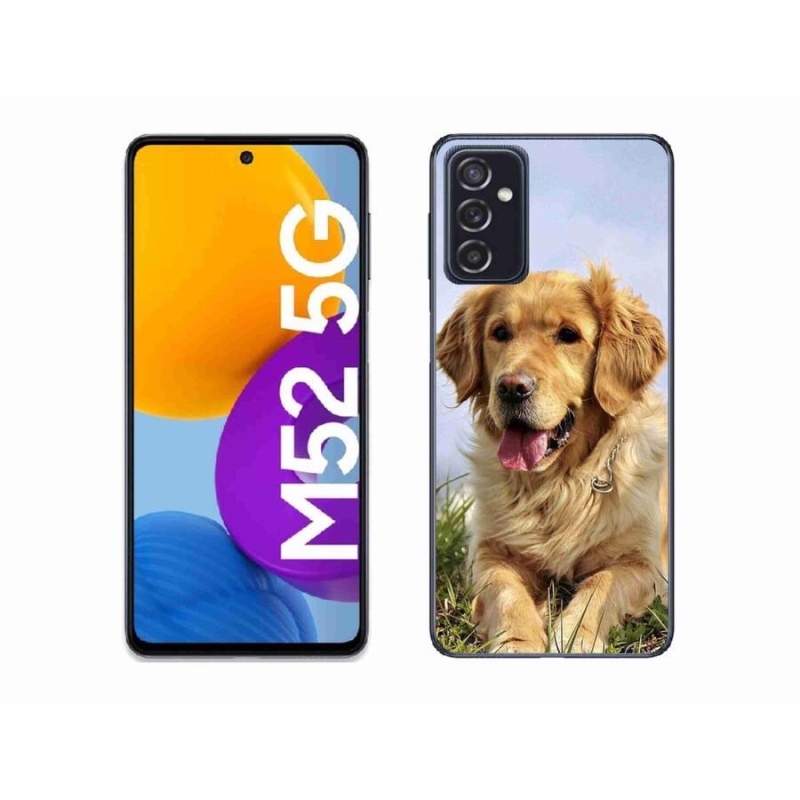 Gél tok mmCase Samsung Galaxy M52 5G - arany retrieverhez