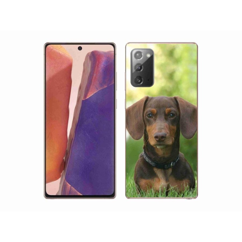 Gél tok mmCase a Samsung Galaxy Note 20/Note 20 5G készülékhez - barna tacskó