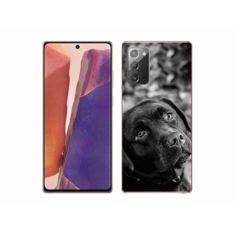 Gél tok mmCase a Samsung Galaxy Note 20/Note 20 5G készülékhez - labrador színű
