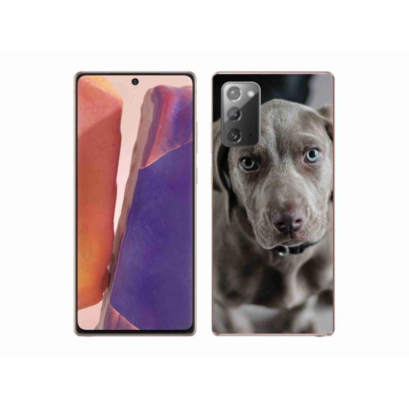 Gél tok mmCase a Samsung Galaxy Note 20/Note 20 5G készülékhez - výmarský ohař