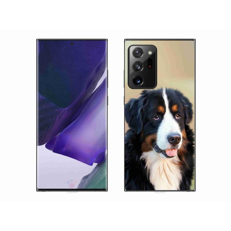 Gél tok mmCase Samsung Galaxy Note 20 Ultra - Berni hegyi kutya - Samsung Galaxy Note 20 Ultra zselés tok