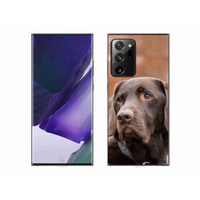 Gél tok mmCase a Samsung Galaxy Note 20 Ultra készülékhez - barna labrador