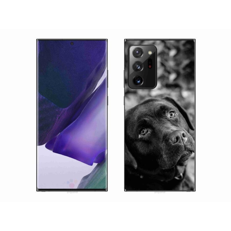 Gél tok mmCase a Samsung Galaxy Note 20 Ultra készülékhez - labrador színben