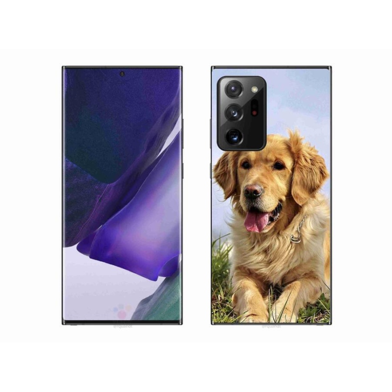 Gél tok mmCase mobil Samsung Galaxy Note 20 Ultra - arany retriever