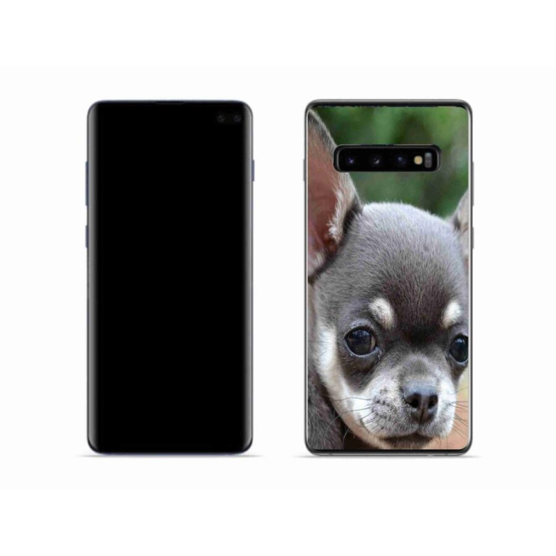 Gél tok mmCase mobiltelefonhoz Samsung Galaxy S10 - chihuahua