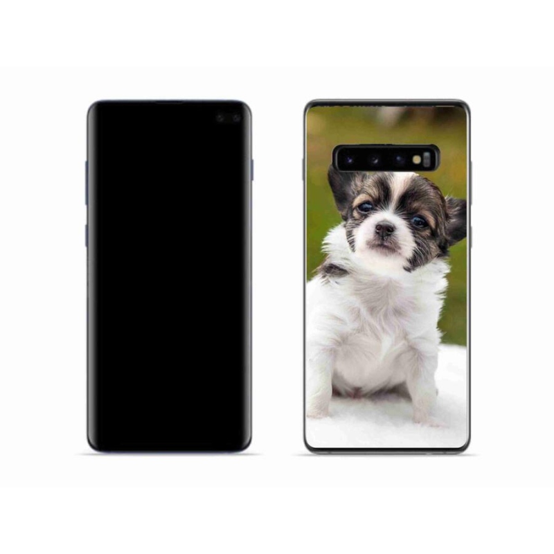 Gél tok mmCase a mobil Samsung Galaxy S10 készülékhez - chihuahua 4
