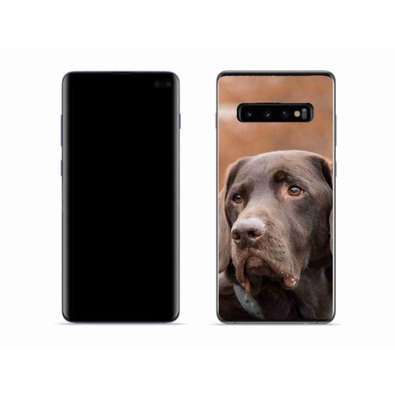 Gél tok mmCase Samsung Galaxy S10 készülékhez - barna labrador