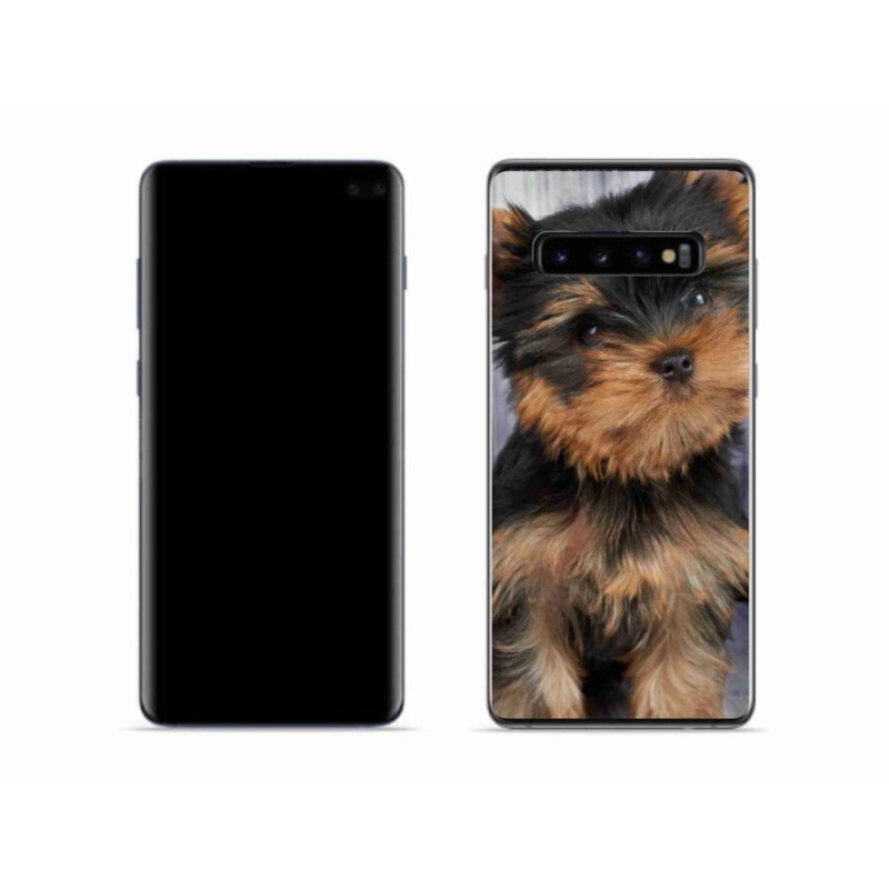 Gél tok mmCase mobil Samsung Galaxy S10 - Yorkshire 9