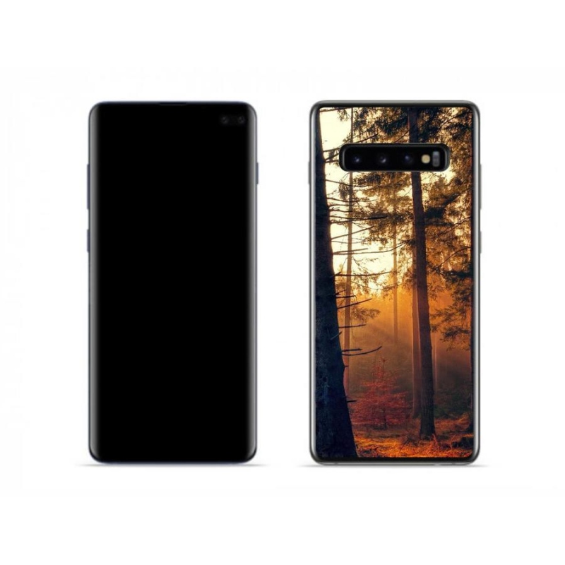 Gél tok mmCase Samsung Galaxy S10 készülékhez - erdő