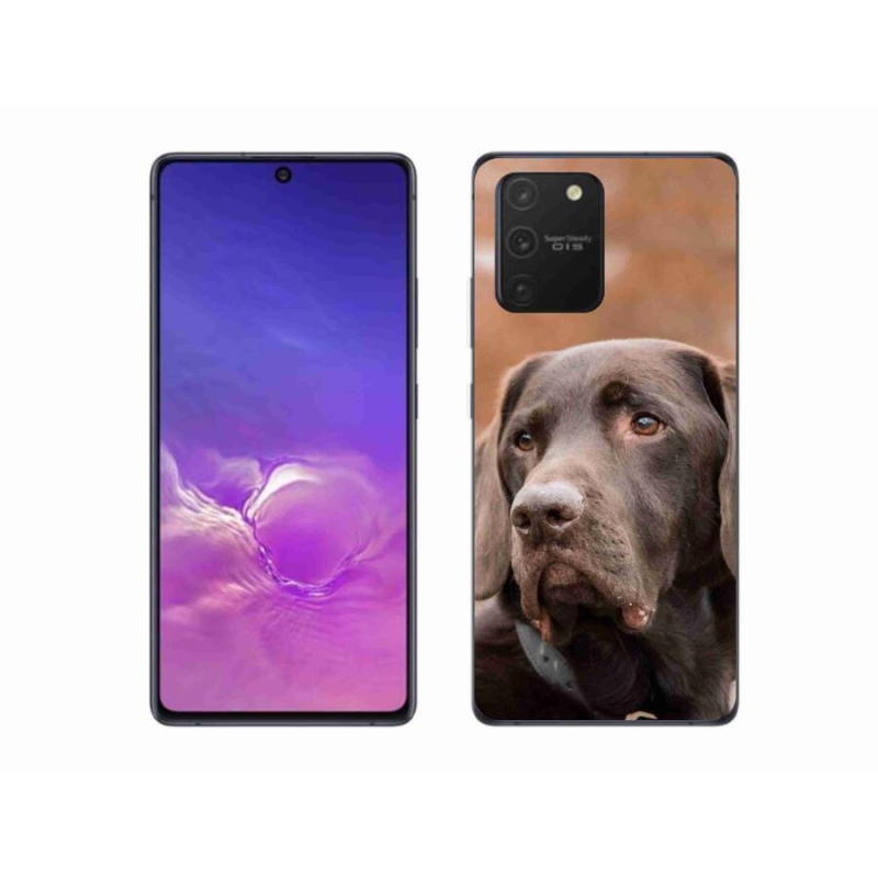Gél tok mmCase Samsung Galaxy S10 Lite készülékhez - barna labrador